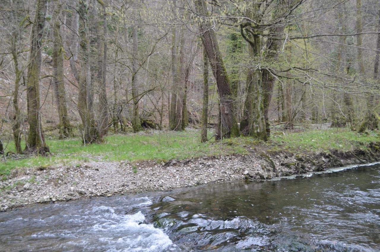 Apartma Nika Planina  Zewnętrze zdjęcie