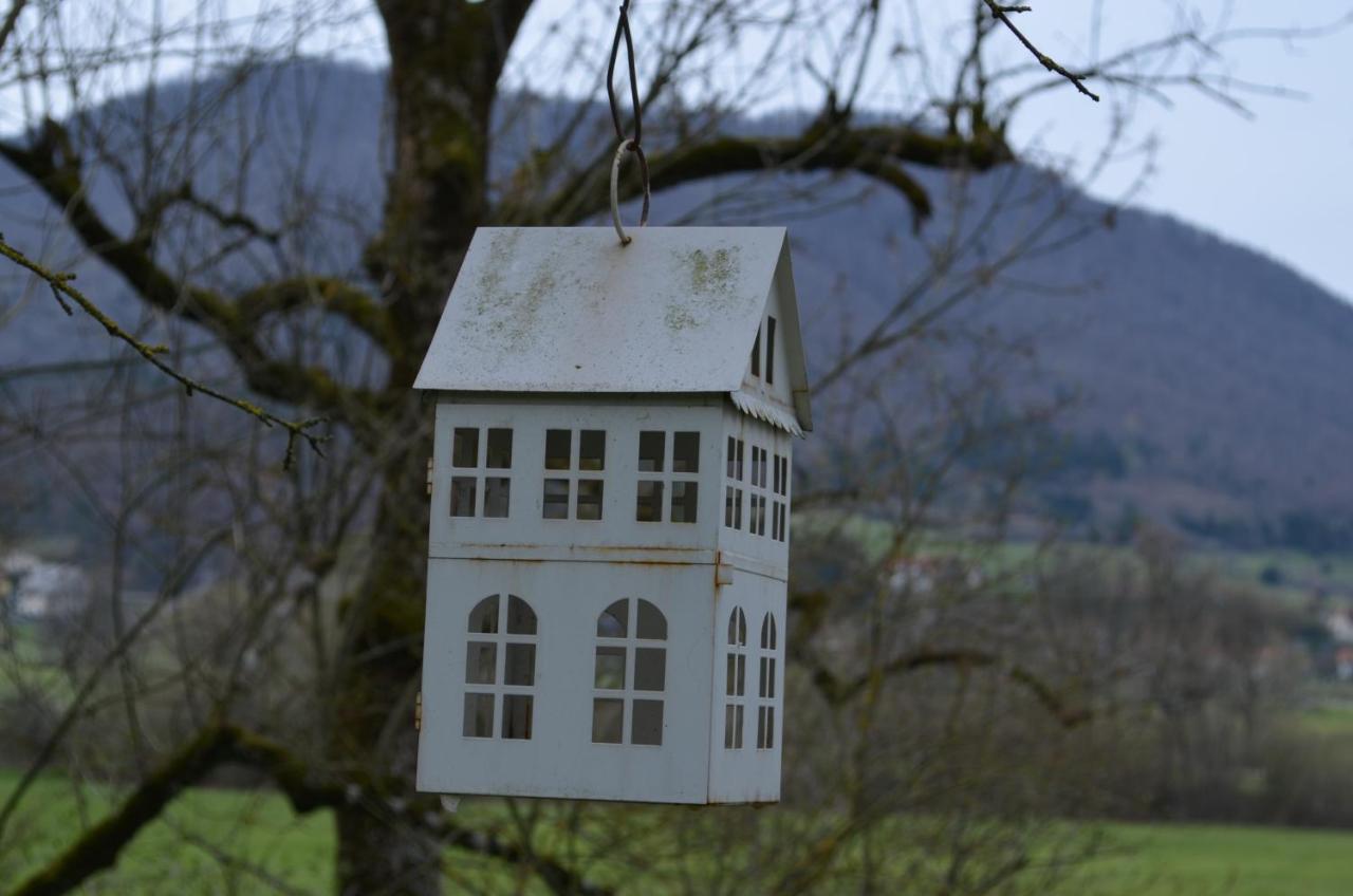 Apartma Nika Planina  Zewnętrze zdjęcie