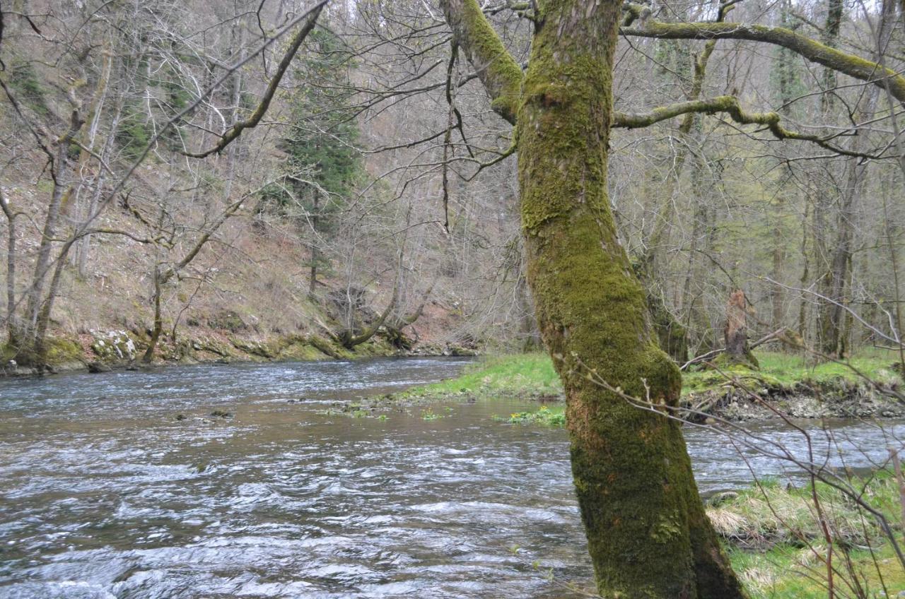 Apartma Nika Planina  Zewnętrze zdjęcie
