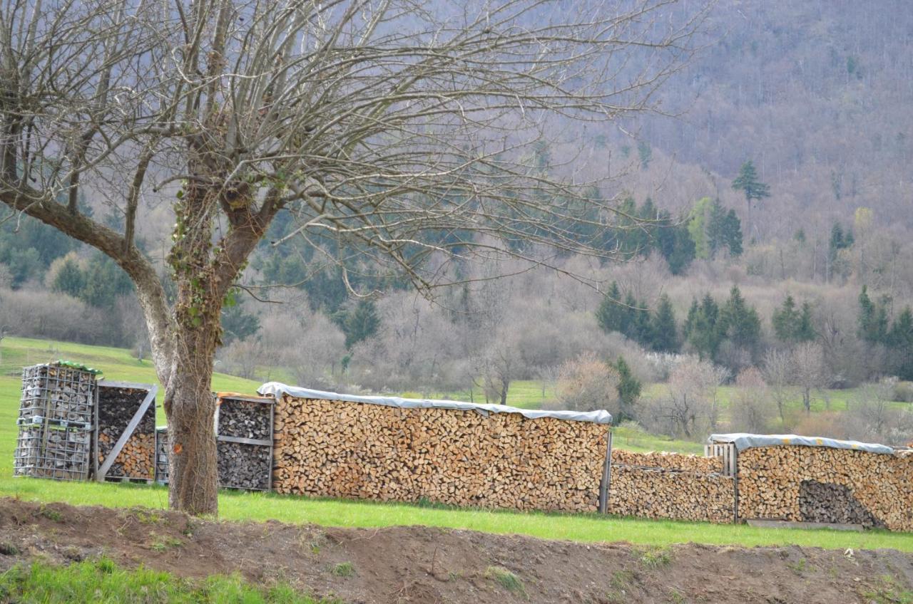 Apartma Nika Planina  Zewnętrze zdjęcie