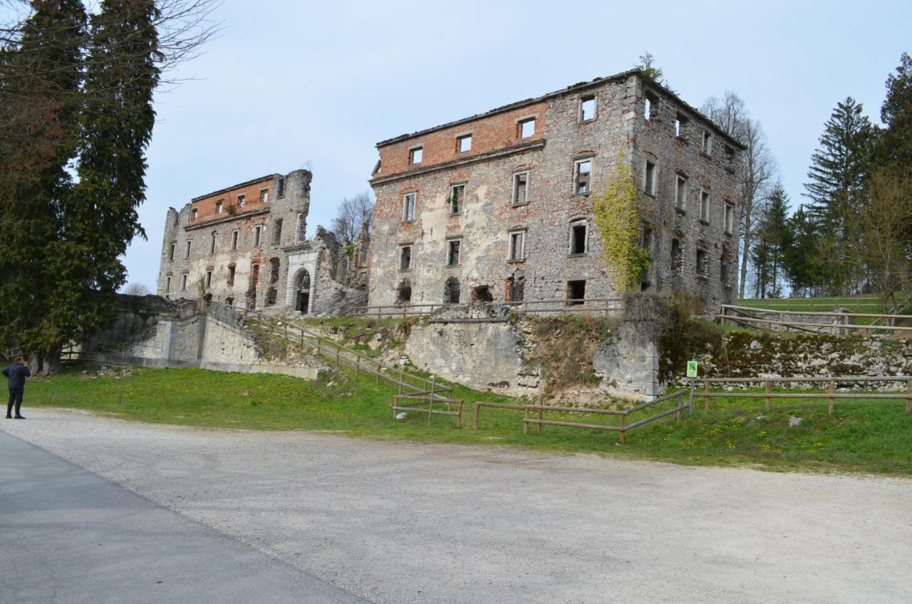Apartma Nika Planina  Zewnętrze zdjęcie