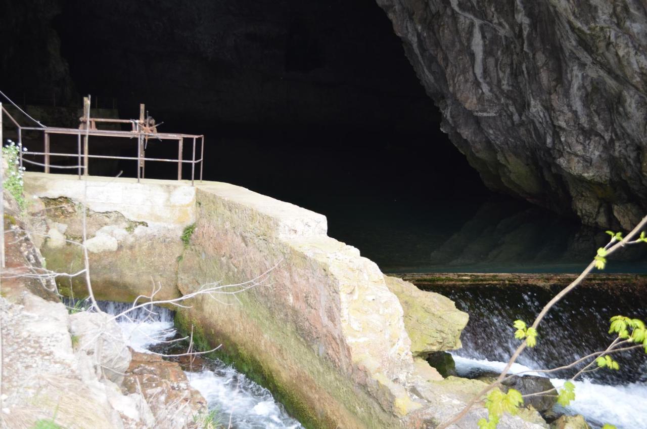 Apartma Nika Planina  Zewnętrze zdjęcie